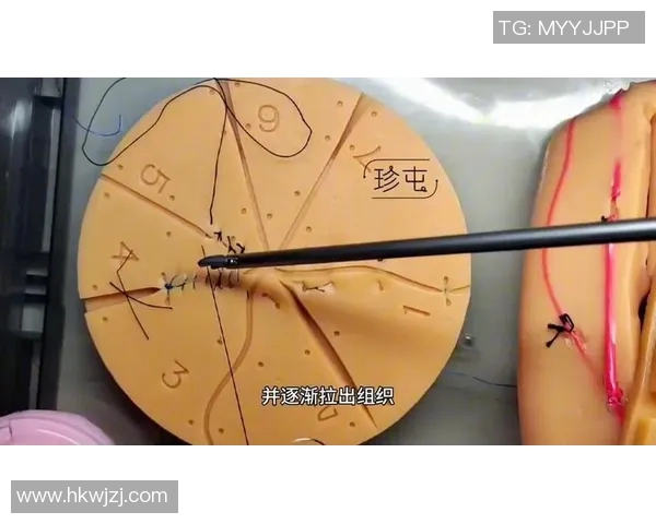 重庆网球队的战术控制体系解析与实战应用探讨