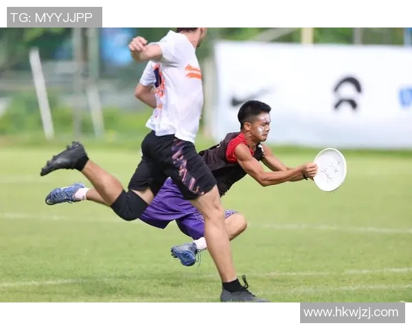 飞盘新手到高手的全面提升指南与实用技巧分享